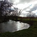 Cosmoveros - Burbuja *