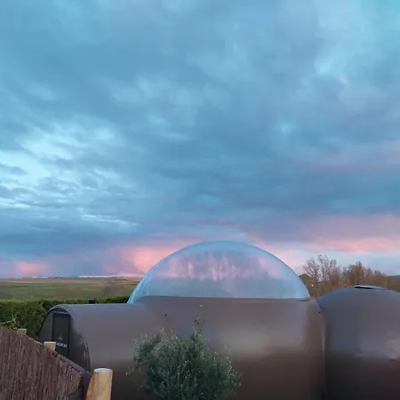 Cosmoveros - Burbuja * Pedraza