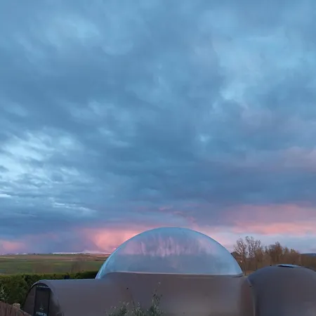 Cosmoveros - Burbuja * Pedraza