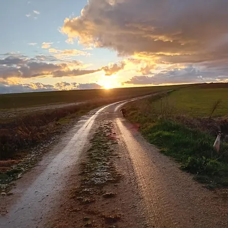 Cosmoveros - Burbuja Pedraza