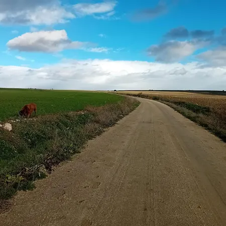 Cosmoveros - Burbuja *