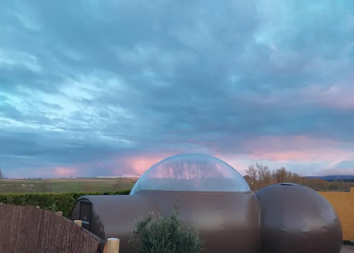 Cosmoveros - Burbuja * 페드라사