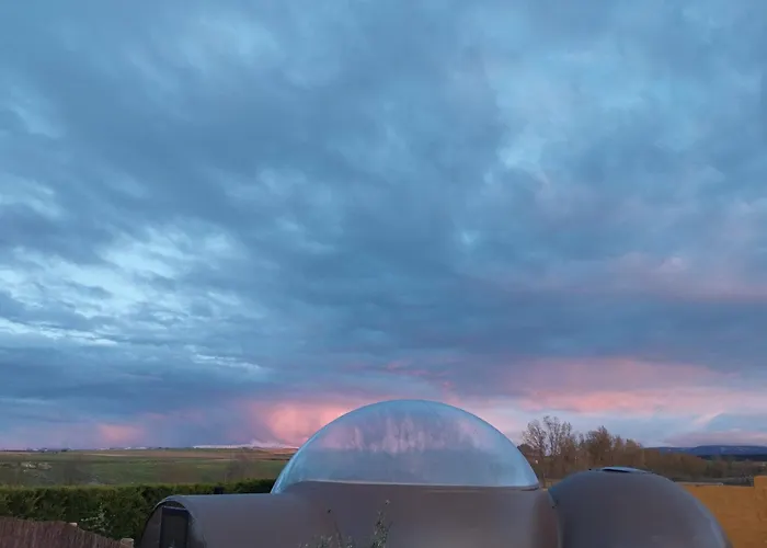 Cosmoveros - Burbuja * 페드라사