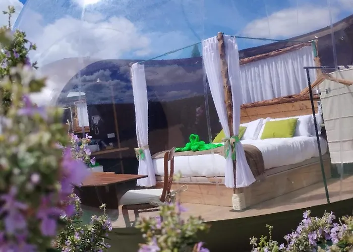 Cosmoveros - Burbuja