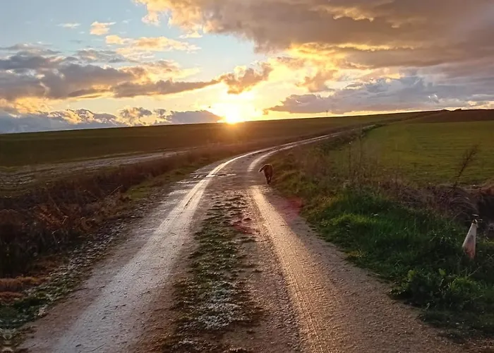 Cosmoveros - Burbuja 페드라사