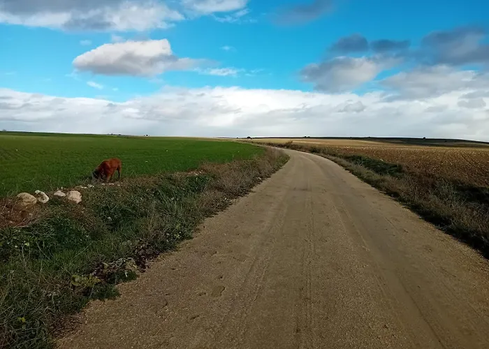 Cosmoveros - Burbuja *