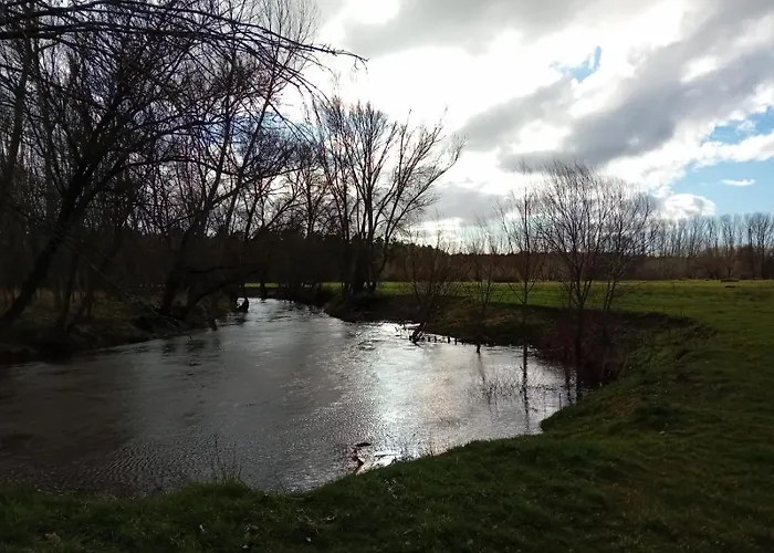 Cosmoveros - Burbuja *